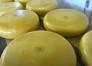 substitutes for white american cheese